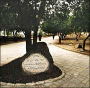 Yad Vashem. Museo del holocausto en jerusalem