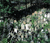 Viejo Cementerio Judío